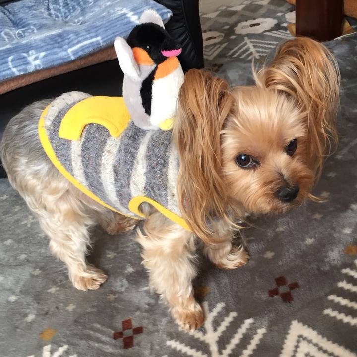 3e3a36ec 7a44 4821 93ed 262bd01308a3 1545382956110