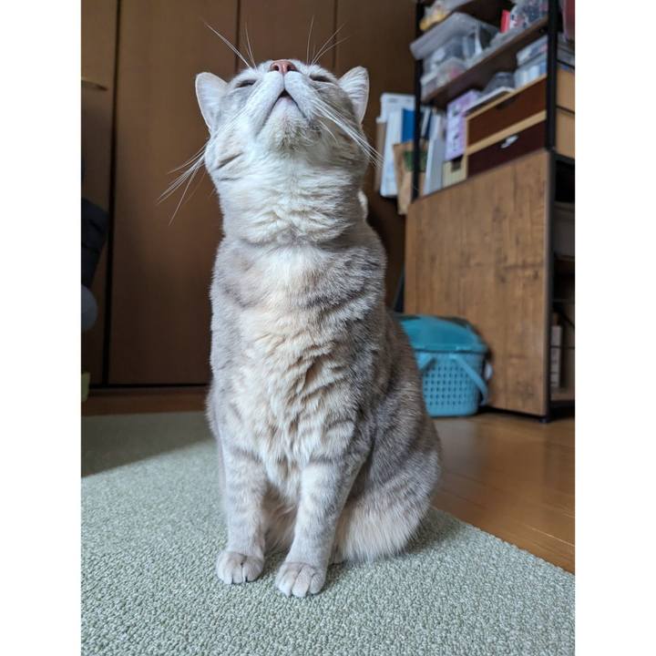 3e3a6e8e a952 4802 8fbc 9f05b5bc4e3a 1707450261889