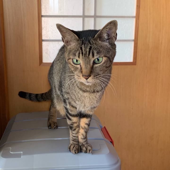 3e3a9dc7 bed0 44f8 94fd 1067015dd9d2 1553561280882