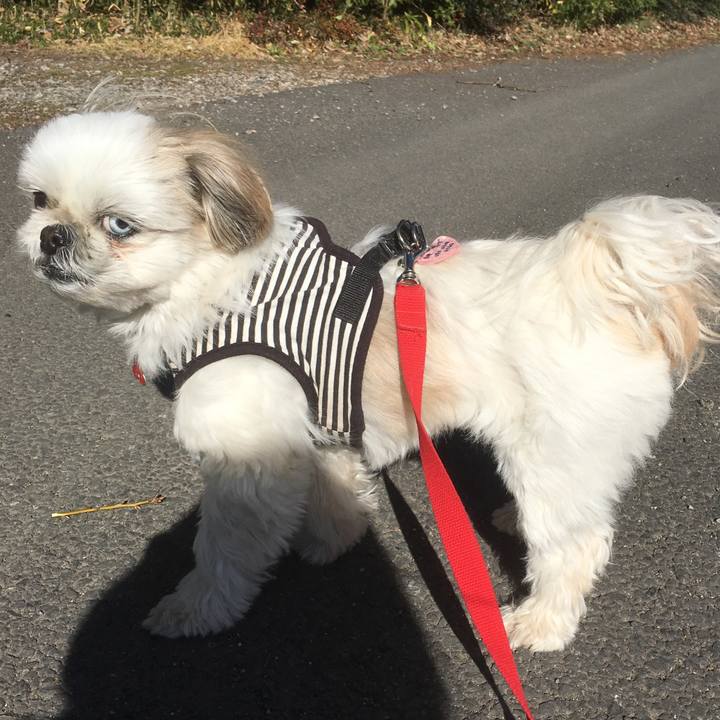 3e3ac89a 4651 41e5 81dc e9f3caa953a0 1519953936263