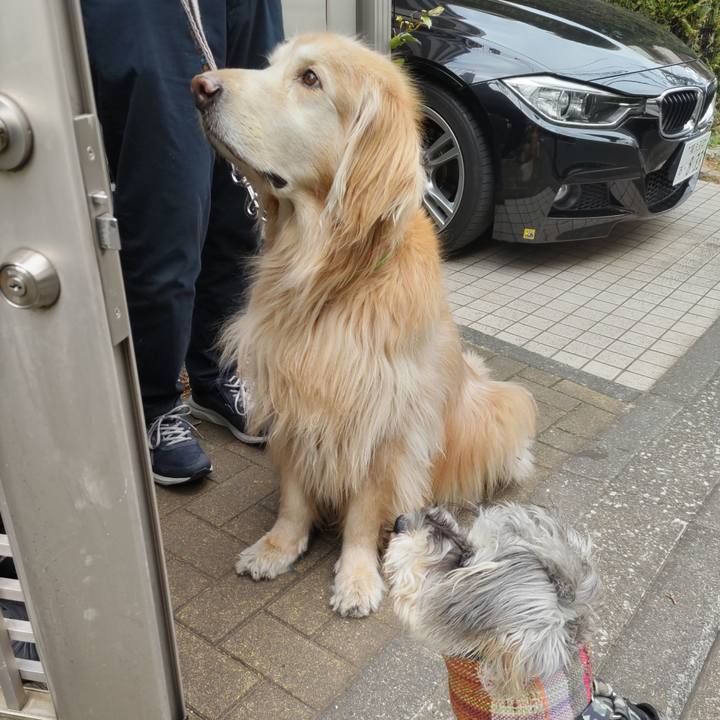 3e3aca54 50ae 4dc1 8e82 0949932d7276 1706445170928