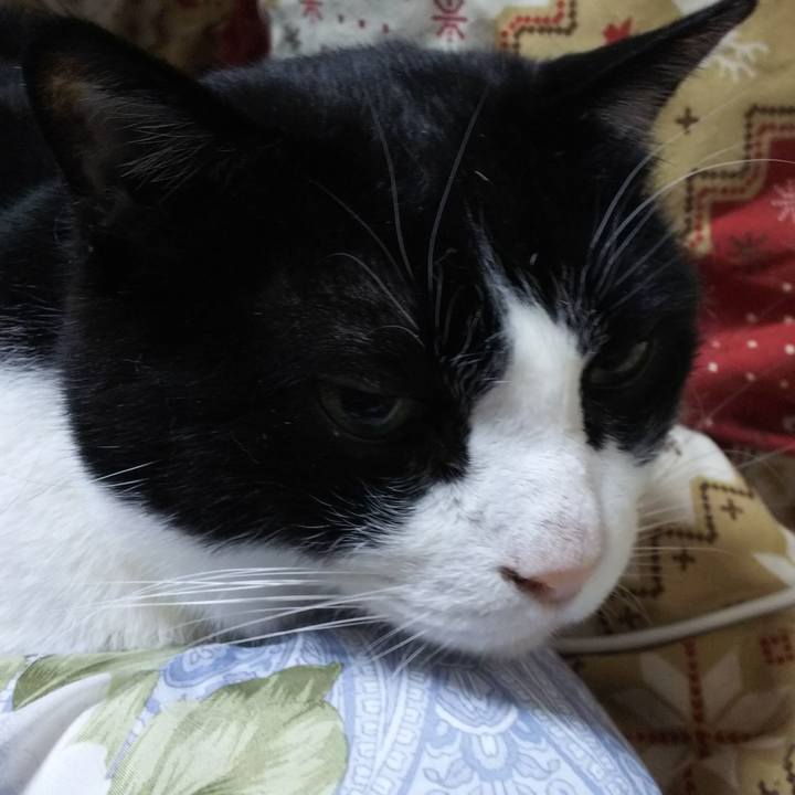 3e3af4d7 8b17 4739 9396 55b0d2f5a6a0 1552600508575