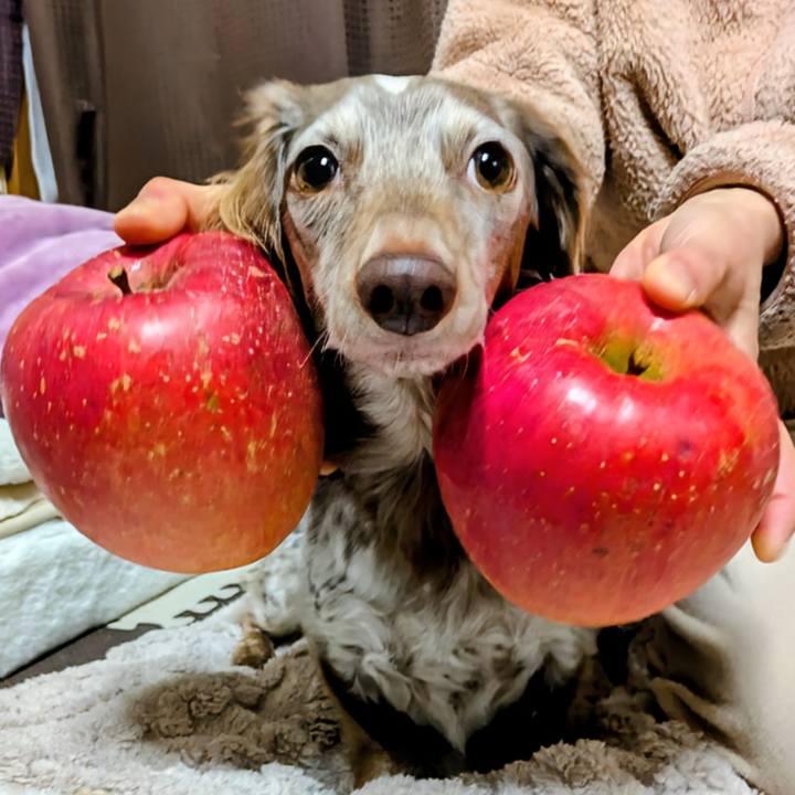 3e3b00bc eecd 4ff6 98c9 bf30508ccb46 1769251870014