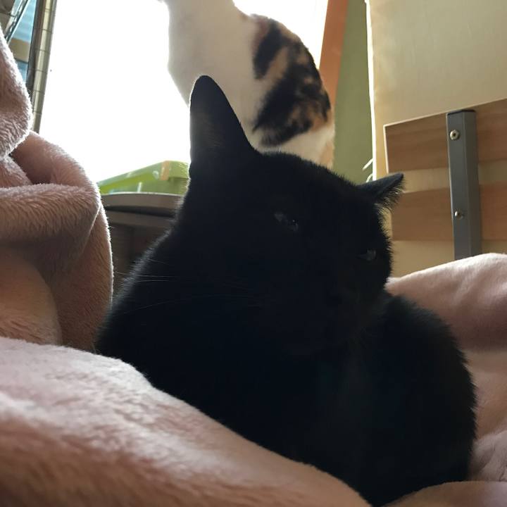 3e3b00e3 86bd 4d54 a79d 574641acfeea 1509757908339