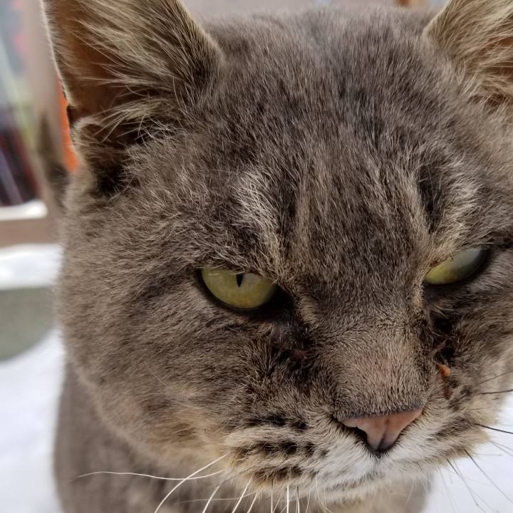 3e3b0543 993c 4338 b9ad 19a2fa2953f8 1549707425143