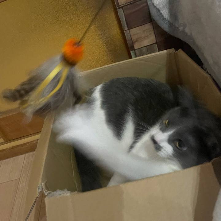 3e3b6200 6f90 4d5f af94 9bc7724896b9 1627294898563