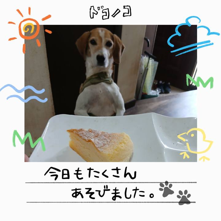 3e3ba03b 717a 4e4a 8315 cd2f84b986ca 1755153683288