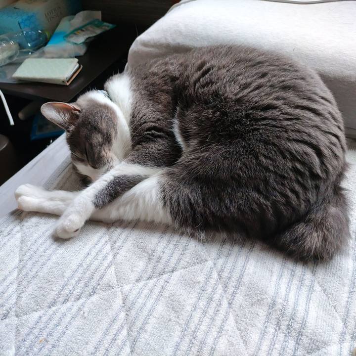 3e3ba155 ed75 4a18 bb89 e0d9d31735fe 1716769923320