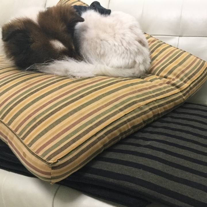 3e3badf3 29fe 46ec 8afa 0d7274d4f3cf 1552053476063