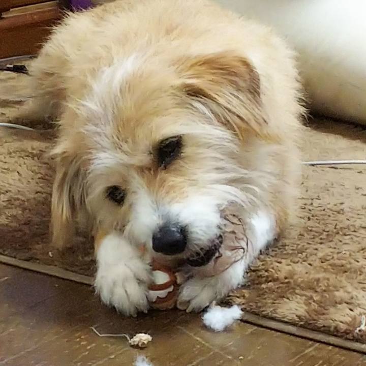 3e3bc4ce f06e 4c5e 95f7 986b3323a8d6 1517730072398