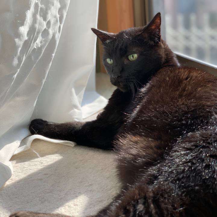 3e3bdd43 db1c 4b65 9b35 65f8895213b3 1552611578745