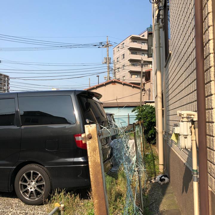 3e3be5f8 bcac 4c8d be85 101369a3446e 1529942854334