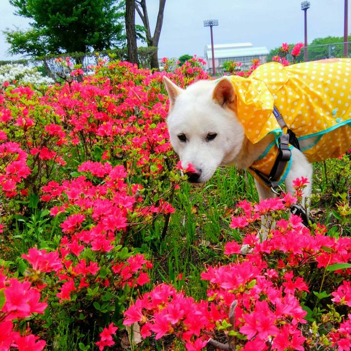 3e3beaef 8a0b 467b b0e9 857a938e3cc8 1525823956152