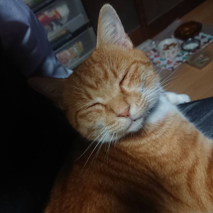 3e3c94fb 0798 4749 b69a f1728cfc623d 1604957586230