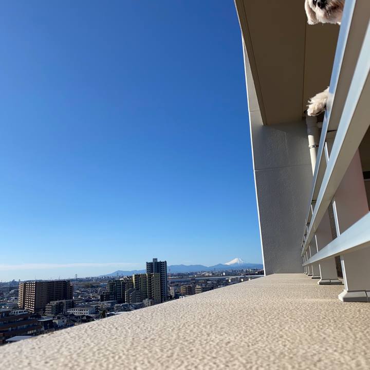 3e3c9744 0cfc 49ca 9558 25fcdf19bcd6 1578548509263