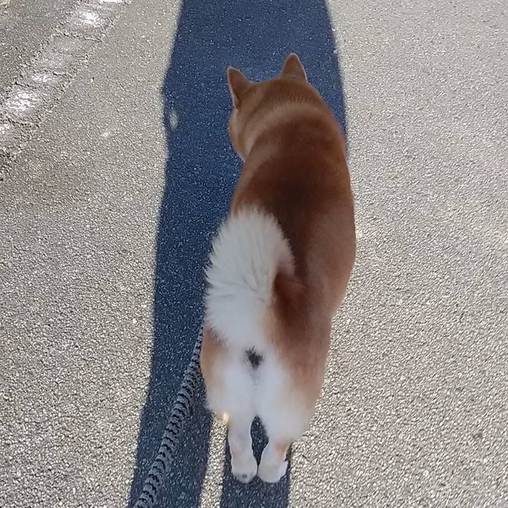 3e3ca90d 440b 4870 858b 6a21ecba905f 1691711249687