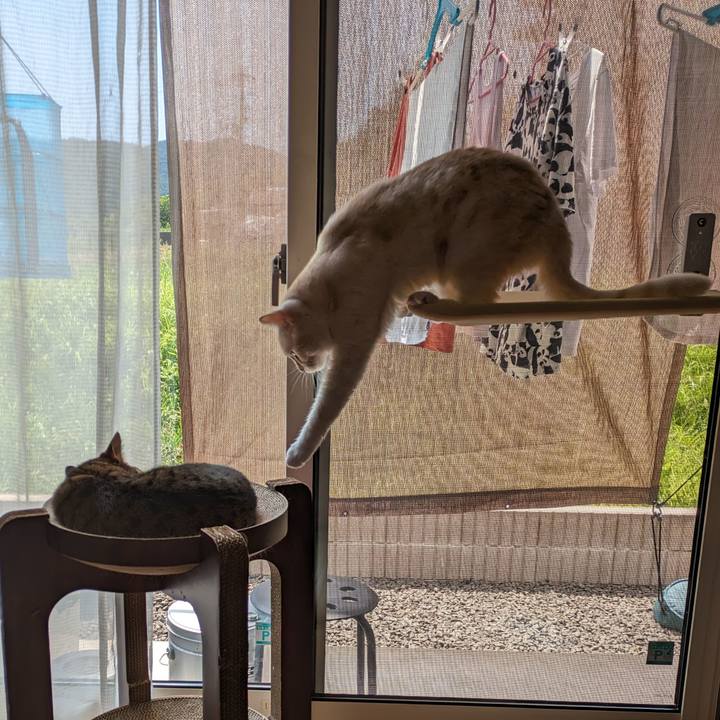 3e3cbb92 ba59 49b3 bfcc b40ed89860eb 1690423178364