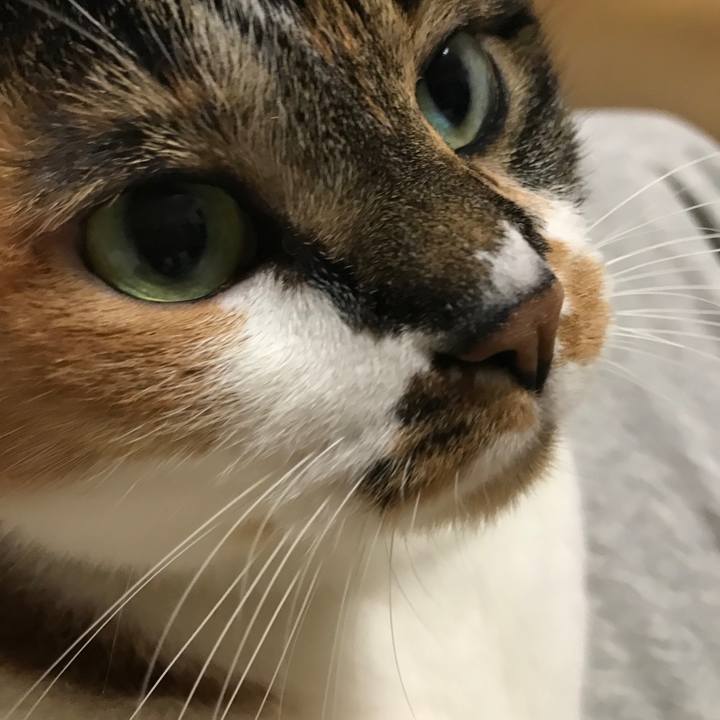 3e3cbd49 b64f 4b51 bdc3 eb96bbcd1dd1 1546095084799