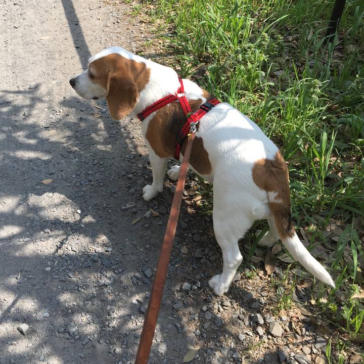 3e3d1e24 912e 459a bf72 00c1e47d53e2 1523240621308