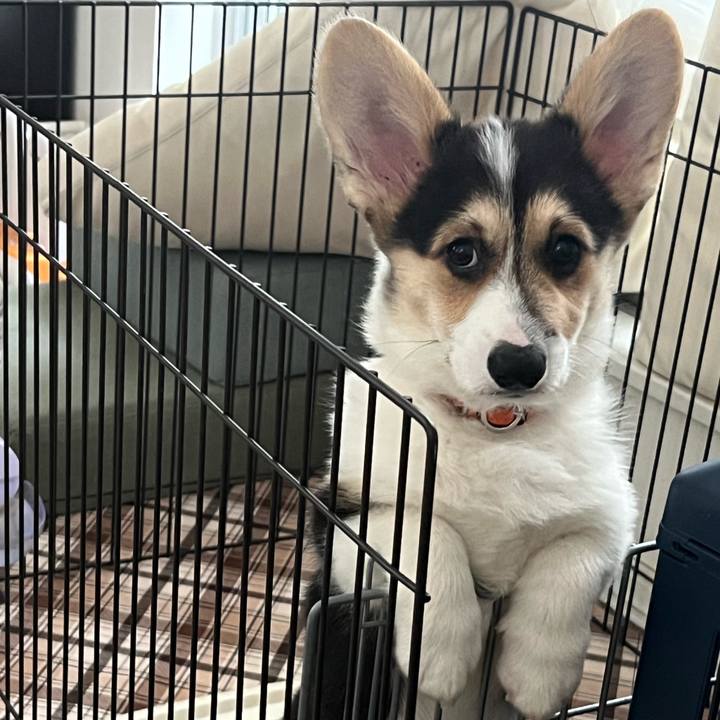 3e3d4c4d 4aec 4a8f 8a26 010f6def1243 1771890945671