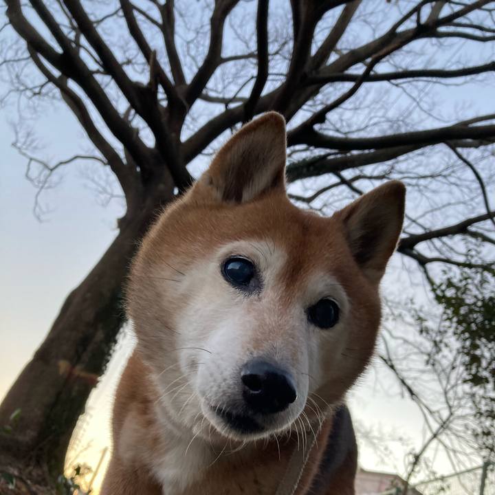 3e3d5b53 20b2 4cd1 a69b 059cf01862a6 1737792498916