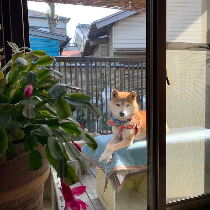 3e3d7731 1f25 4684 af0c 6f952f02d73d 1581157901047