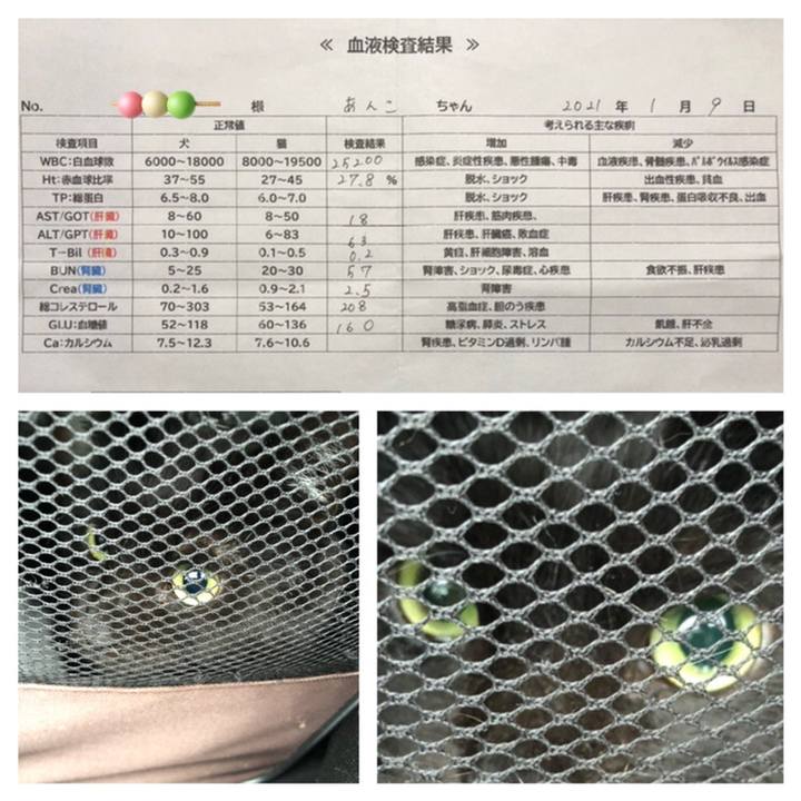 3e3d7d28 568c 4f1a beef e81c9dae3b03 1610178072576