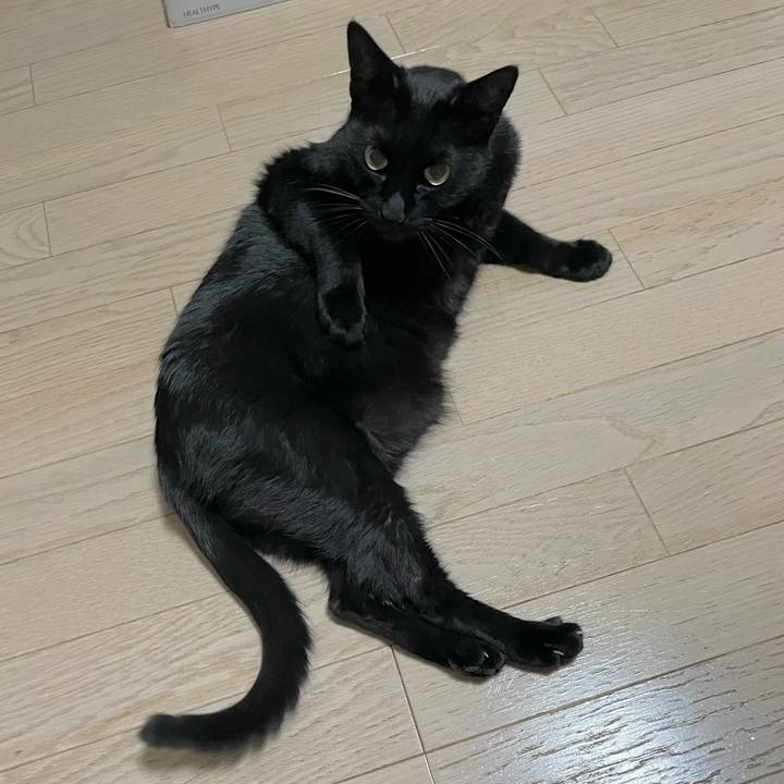 3e3da3e3 f32e 4525 b473 f637c24077b7 1696334479680