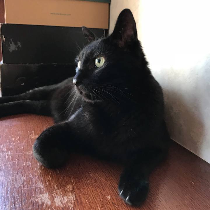 3e3db2b8 f5dc 4bed bd8d ad57edd275f6 1531706885775