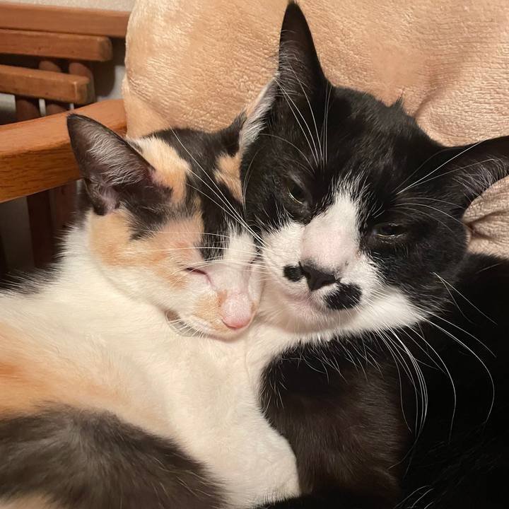 3e3df8f9 0305 4e4b af4f 4b738ef3de33 1680088712672