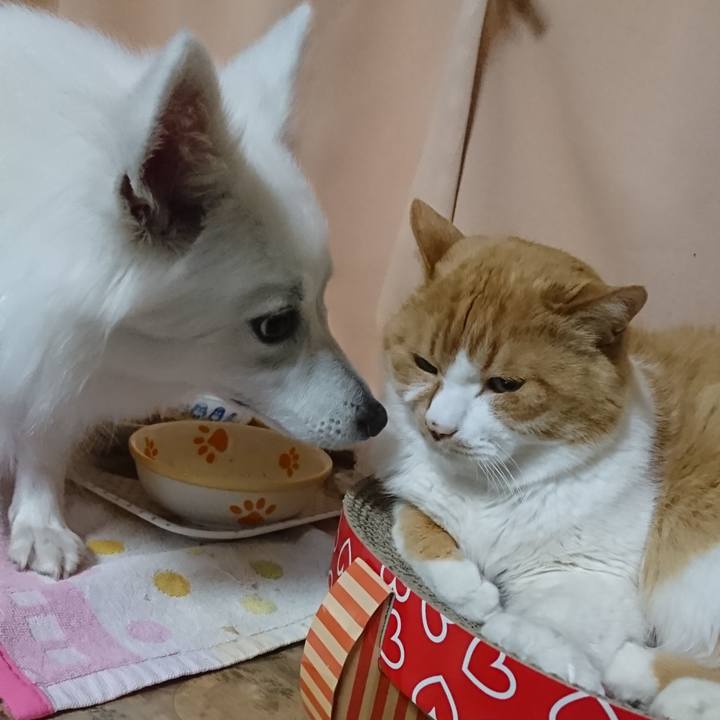 3e3e051e d24e 4dd4 b192 653af0b8e9d2 1524923613768