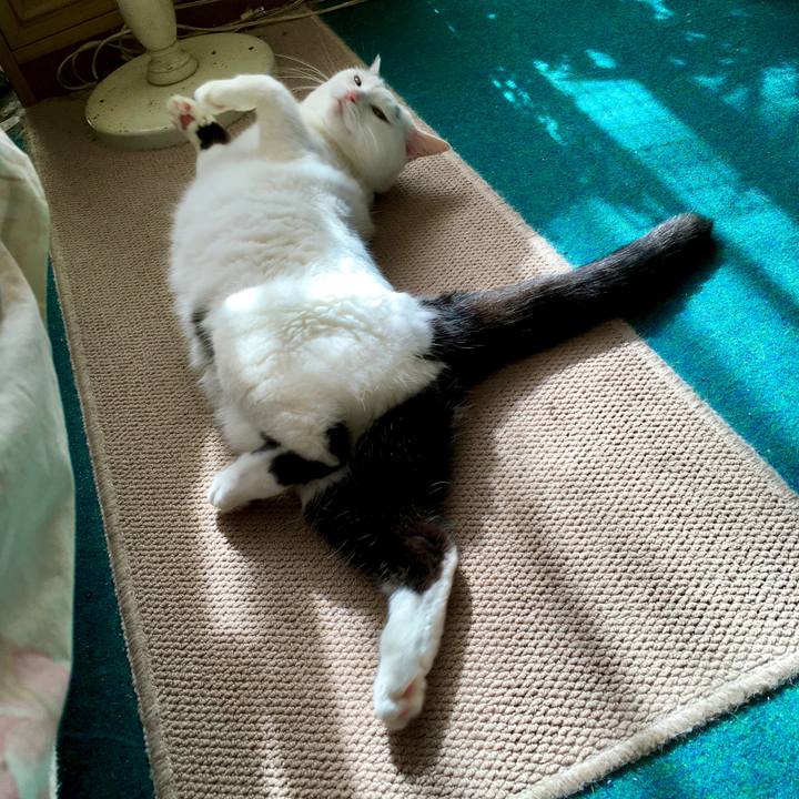 3e3e0937 06f7 45ad 9e19 23ebc888540f 1570693064029