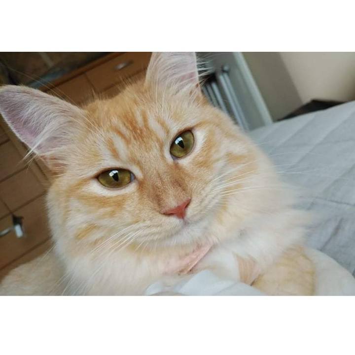 3e3e321b cba6 4600 ab69 1515edcd9ae2 1629950620751