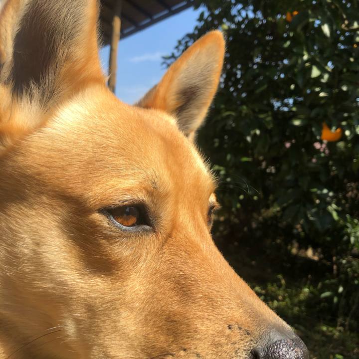 3e3e9407 c64a 4c01 81a7 78e03ac22dfb 1583035632108