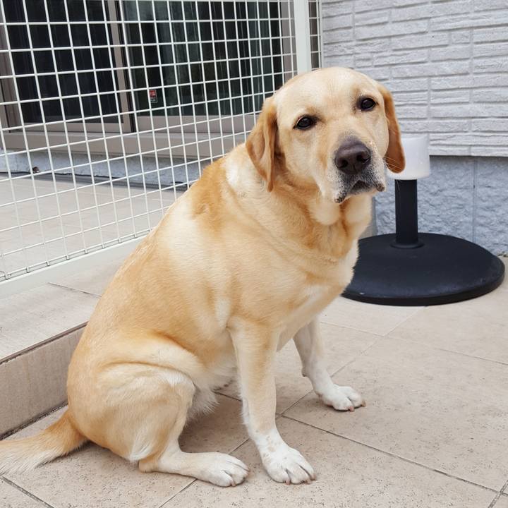 3e3ec045 f34c 4872 954f af7ce06f4eac 1518676566115