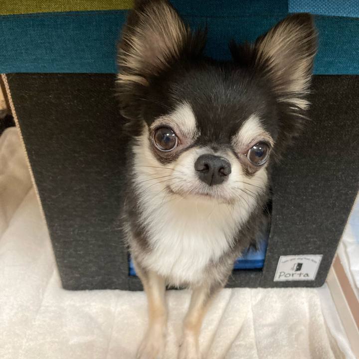 3e3eda7a 72f4 4d96 b4c4 93a5b8aef53b 1627047229166