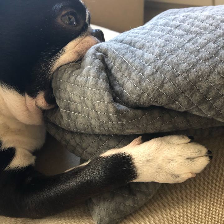 3e3f1a5a fa42 4251 b184 8f25b9d367f4 1583988651044