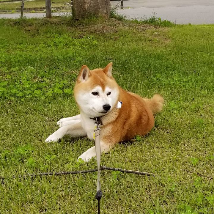 3e3f27c3 88a4 4480 89b1 91cf3d641144 1621840440772