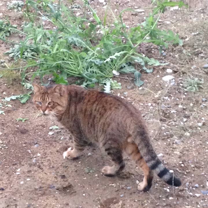 3e3f55bc 691f 4e3b abb0 bb6a8fdfb390 1509108341490