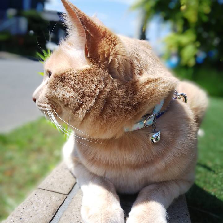 3e3f60a0 3a95 40df 92f1 2785d65159d9 1622600531162