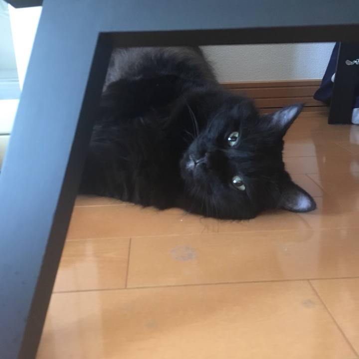 3e3f9133 01f5 4b64 8515 6c62b68509a4 1564738516637