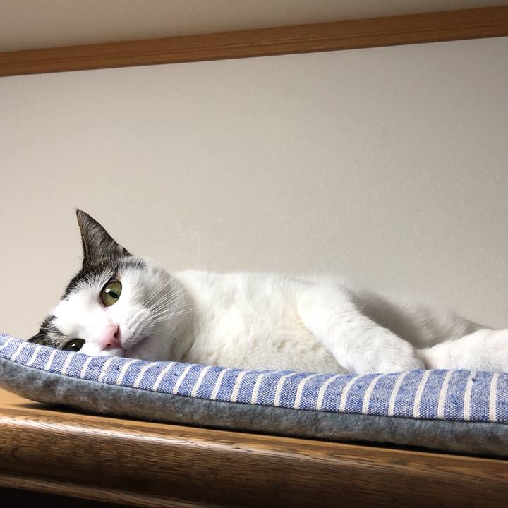 3e3fc5e0 5d87 46a2 9485 99309935fc35 1628601947714