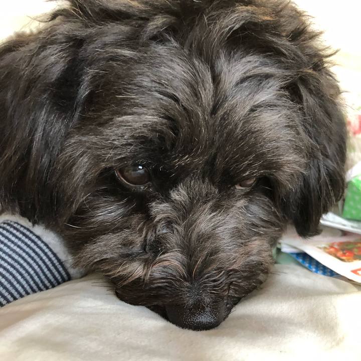 3e3fe0c8 2a34 4df5 9ab6 dd7eb1887f34 1556841635981