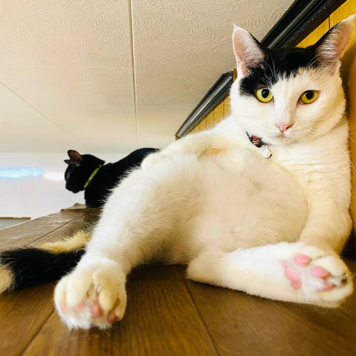 3e40157a fab7 4557 a96a 60ab10569295 1661347578798