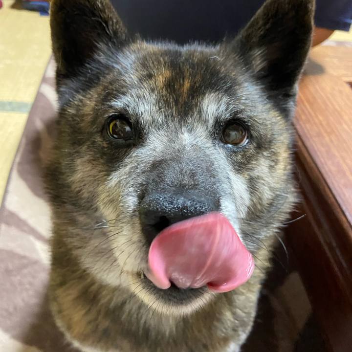 3e402bc8 4665 4b5f a07e b7ec659bc3a5 1654601217418