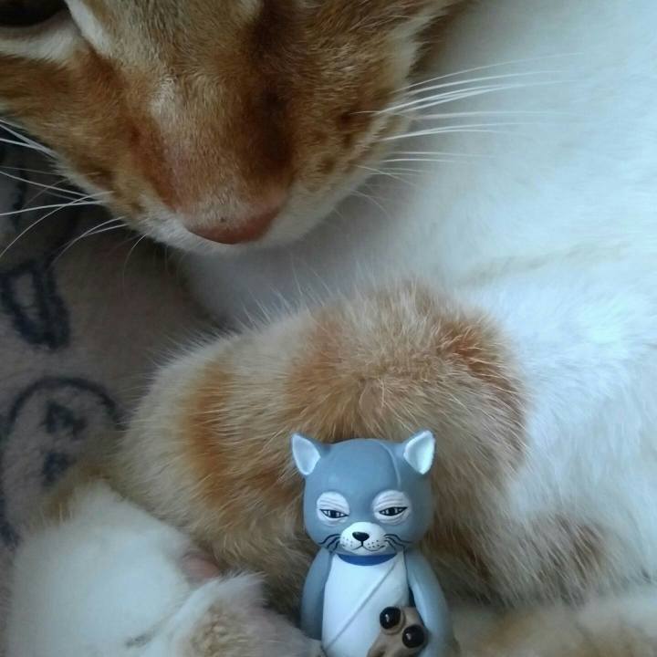 3e405817 4150 41fa 8672 15dab09ba65b 1557077337771