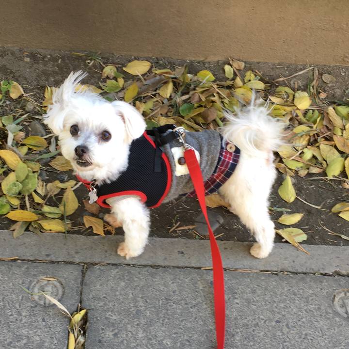 3e408eac 497b 4ba4 9163 551693cf1efd 1574215746103