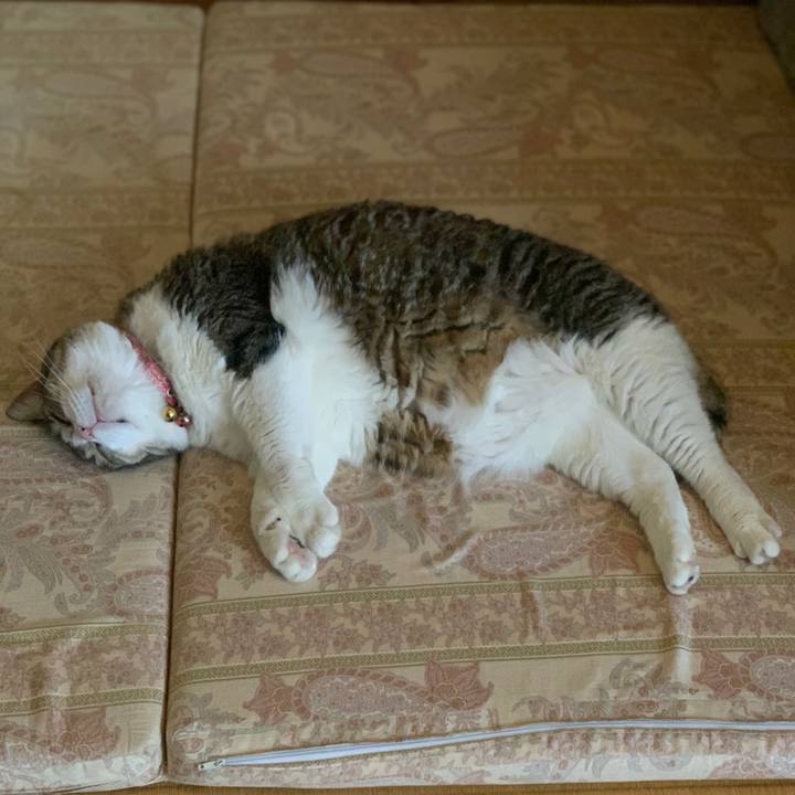 3e409b77 8bce 43b4 88c0 c667f73d2da2 1722122791155