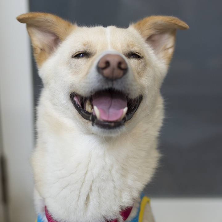 3e409eba 722b 4948 8368 117f72fa7328 1525521967704