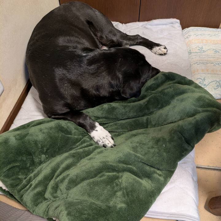 3e40aeb2 2cf3 4579 bd52 8887bd35d74e 1746232254925